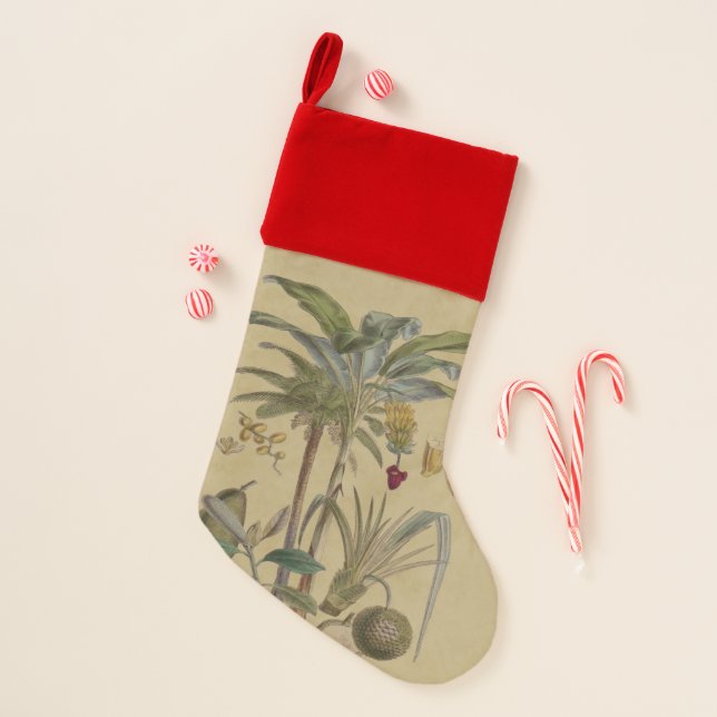 Palm Antique Tropical Fruit Botanical Art Christmas Stocking (Front)