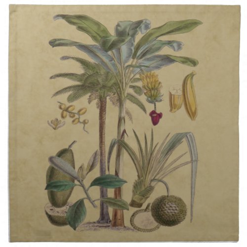 Palm Antique Tropical Fruit Botanical Art Cloth Napkin
