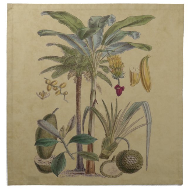 Palm Antique Tropical Fruit Botanical Art Cloth Napkin (Front)