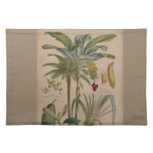 Palm Antique Tropical Fruit Botanical Art Cloth Placemat