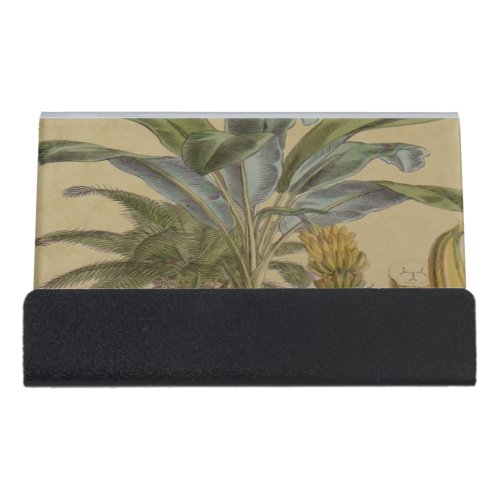 Palm Antique Tropical Fruit Botanical Art Desk Business Card Holder