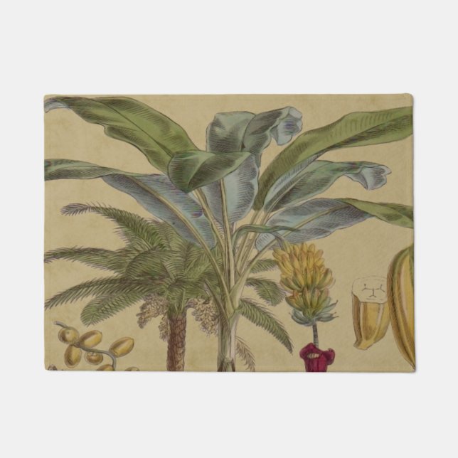 Palm Antique Tropical Fruit Botanical Art Doormat (Front)