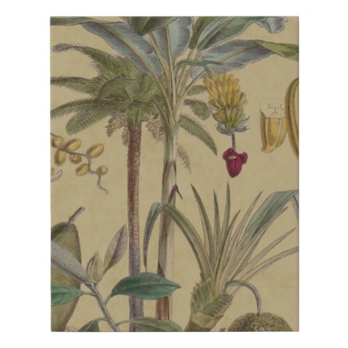 Palm Antique Tropical Fruit Botanical Art Faux Canvas Print