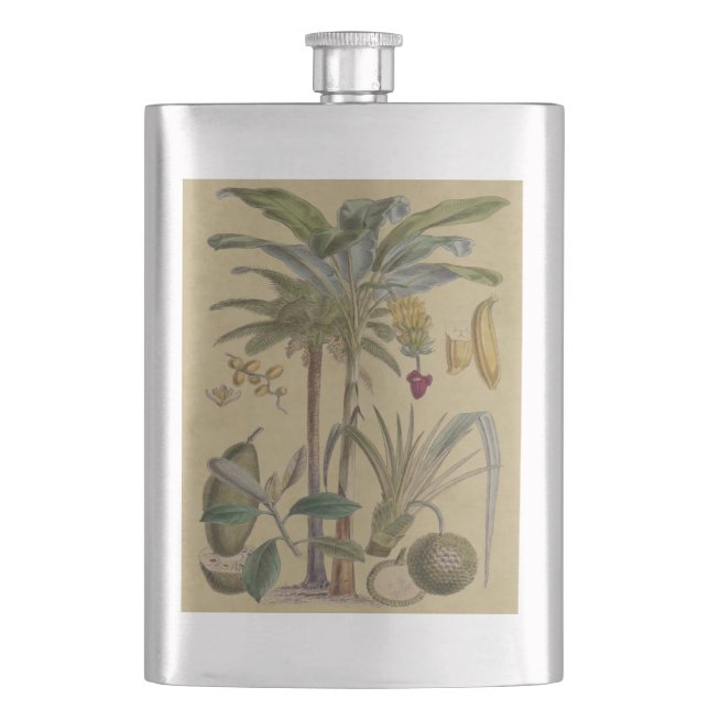 Palm Antique Tropical Fruit Botanical Art Flask (Front)