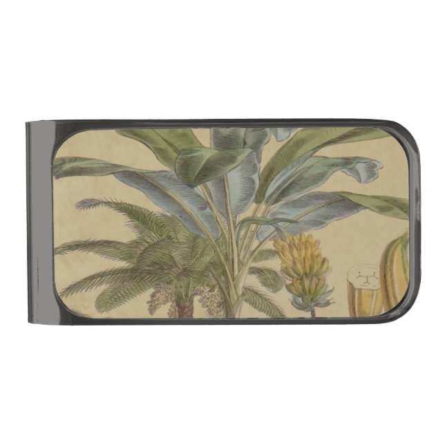 Palm Antique Tropical Fruit Botanical Art Gunmetal Finish Money Clip (Front)