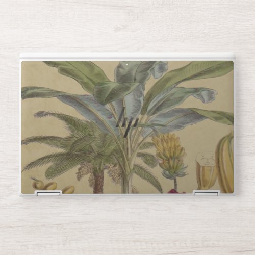 Palm Antique Tropical Fruit Botanical Art HP Laptop Skin