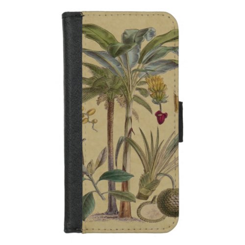 Palm Antique Tropical Fruit Botanical Art iPhone 87 Wallet Case