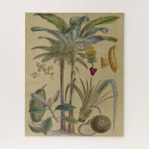 Palm Antique Tropical Fruit Botanical Art Jigsaw Puzzle