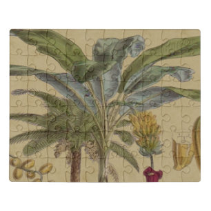 Palm Antique Tropical Fruit Botanical Art Jigsaw Puzzle
