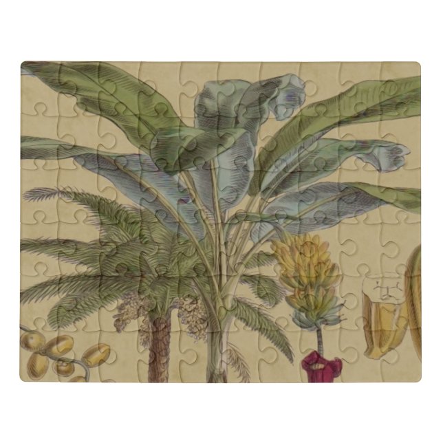 Palm Antique Tropical Fruit Botanical Art Jigsaw Puzzle (Puzzle Horizontal)