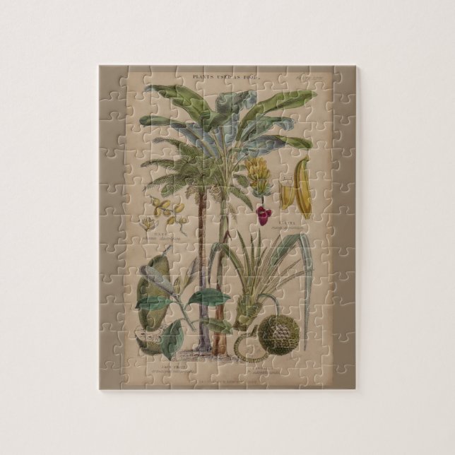 Palm Antique Tropical Fruit Botanical Art Jigsaw Puzzle (Vertical)
