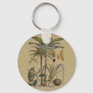 Palm Antique Tropical Fruit Botanical Art Keychain