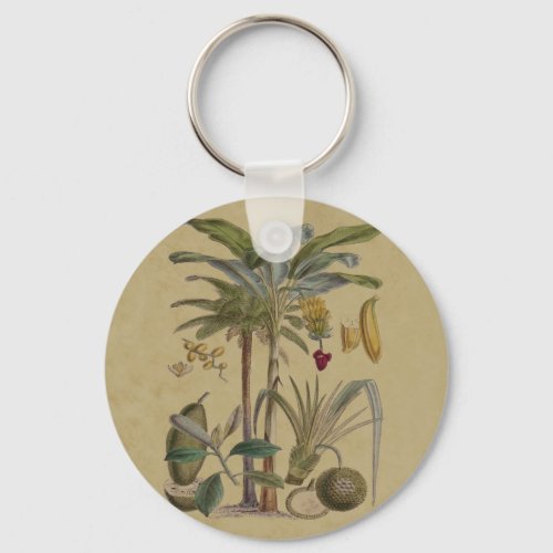 Palm Antique Tropical Fruit Botanical Art Keychain
