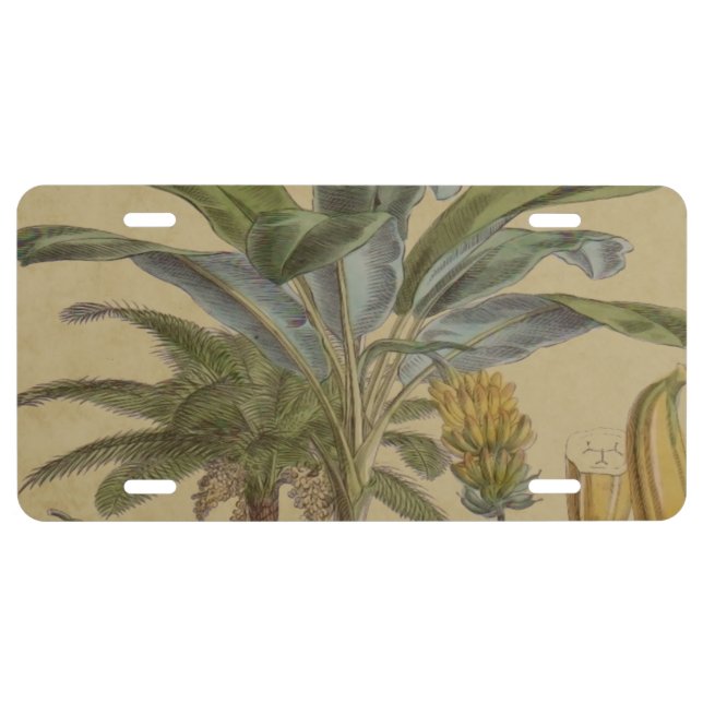Palm Antique Tropical Fruit Botanical Art License Plate (Front)