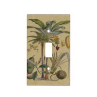 Palm Antique Tropical Fruit Botanical Art