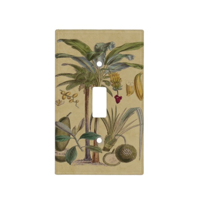 Palm Antique Tropical Fruit Botanical Art Light Switch Cover (Front)