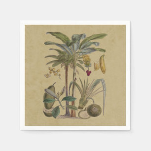 Palm Antique Tropical Fruit Botanical Art Napkins