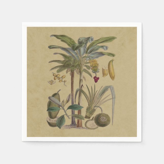 Palm Antique Tropical Fruit Botanical Art Napkins (Front)