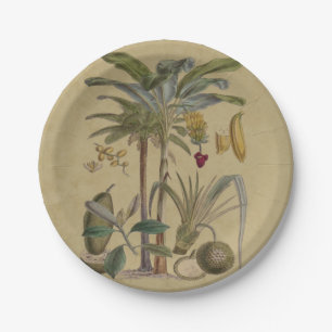 Palm Antique Tropical Fruit Botanical Art Paper Plates