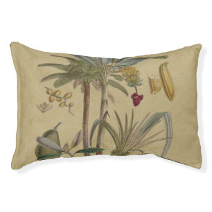 Palm Antique Tropical Fruit Botanical Art Pet Bed