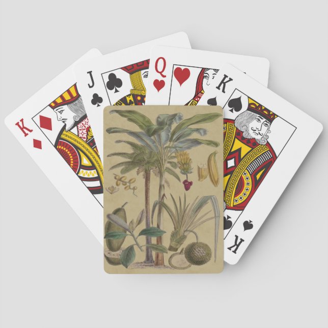 Palm Antique Tropical Fruit Botanical Art Poker Cards (Back)