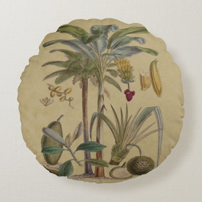 Palm Antique Tropical Fruit Botanical Art Round Pillow (Front)