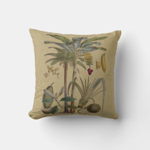 Palm Antique Tropical Fruit Botanical Art Throw Pillow