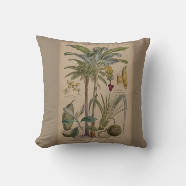 Palm Antique Tropical Fruit Botanical Art Throw Pillow (Front)
