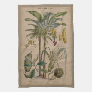 Palm Antique Tropical Fruit Botanical Art Towel