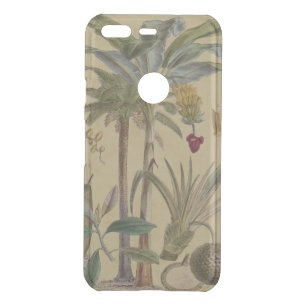 Palm Antique Tropical Fruit Botanical Art Uncommon Google Pixel Case