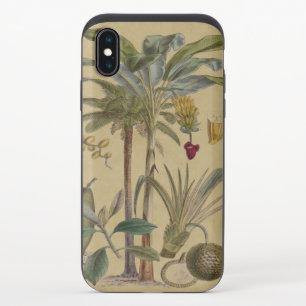 Palm Antique Tropical Fruit Botanical Art iPhone X Slider Case