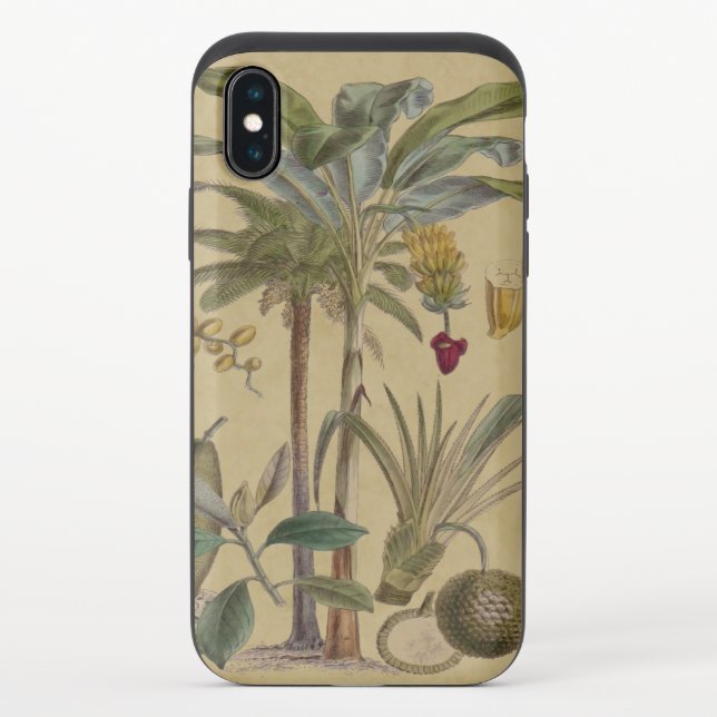 Palm Antique Tropical Fruit Botanical Art Uncommon iPhone Case (Back)