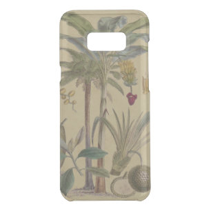 Palm Antique Tropical Fruit Botanical Art Uncommon Samsung Galaxy S8+ Case