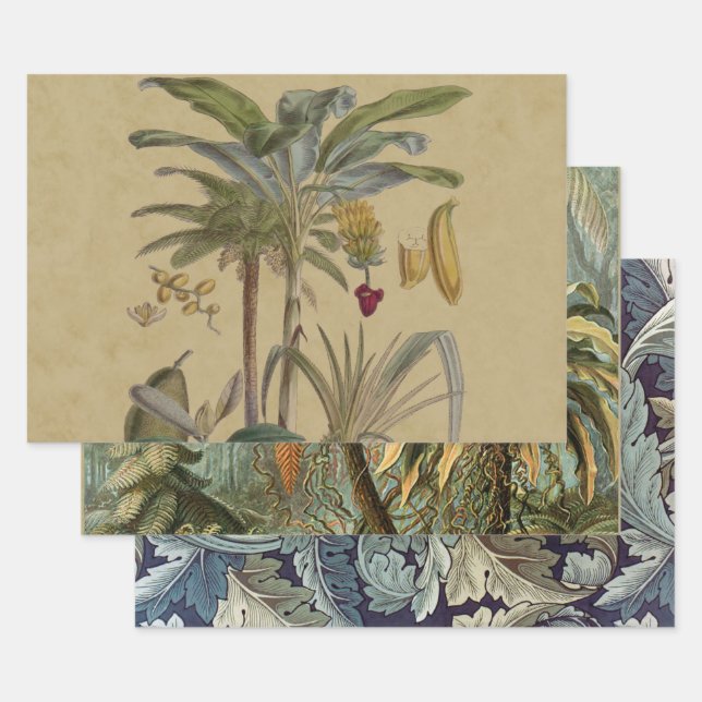 Palm Antique Tropical Fruit Botanical Art Wrapping Paper Sheets (Set)