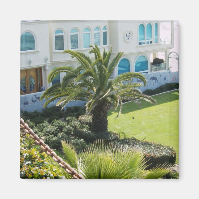 Palm  at Oceanside CA Magnet (Front)