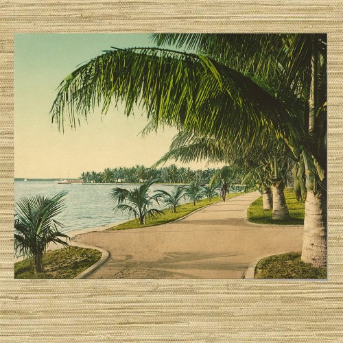 Palm Beach 1898 vintage Florida scene Poster