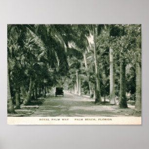Palm Beach, Florida, Royal Palm Way Vintage Poster
