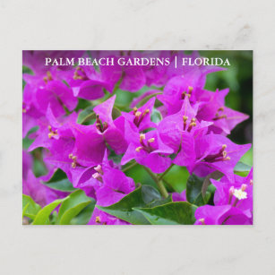 Palm Beach Gardens Florida Floral Travel Postcard