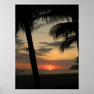 palm beach poster