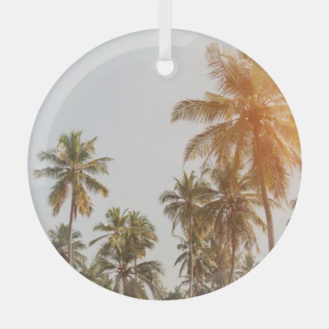 Palm Beach Scenic View Glass Ornament (Front)