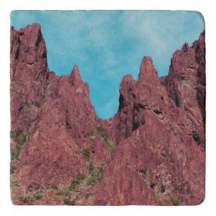 Palm Canyon Arizona Trivet