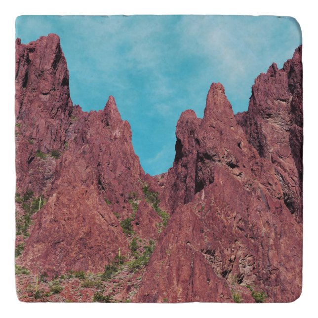 Palm Canyon Arizona Trivet (Front)