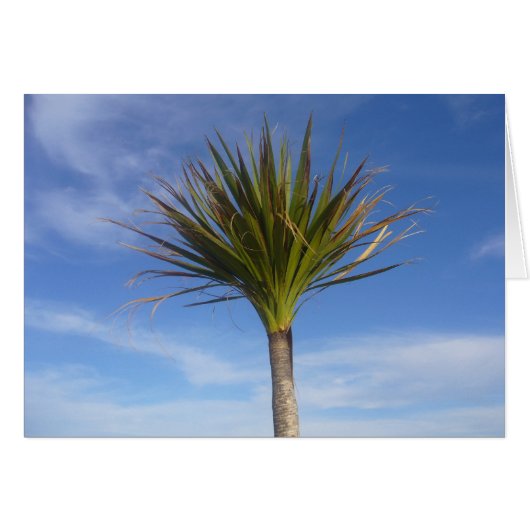 palm cards (Front Horizontal)