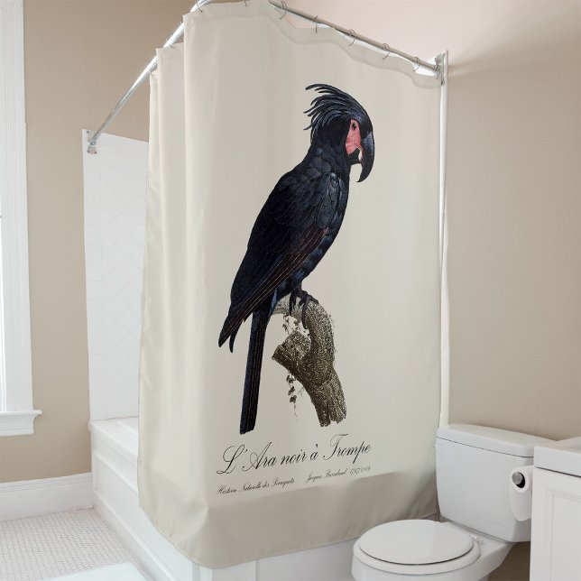 Palm Cockatoo, Probosciger aterrimus parrot, retro Shower Curtain (L' Ara Noir a Trompe / Palm Cockatoo. Shower Curtain)