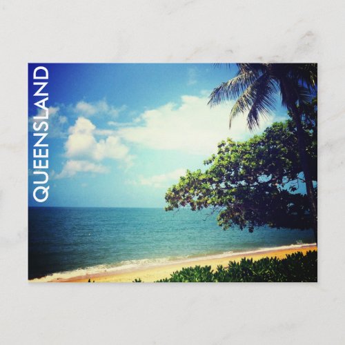 palm cove beach life postcard