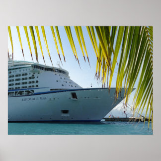 Palm Framed Bow Poster