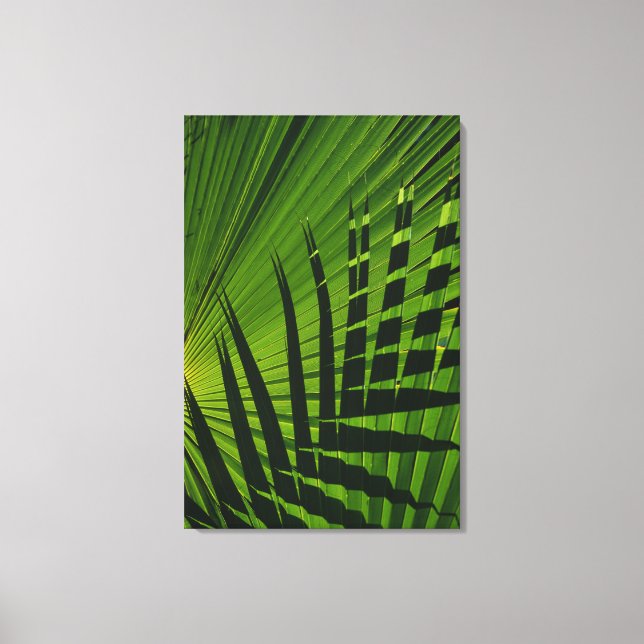Palm Frond Print on Canvas (Front)