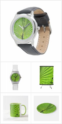Palm Fronds