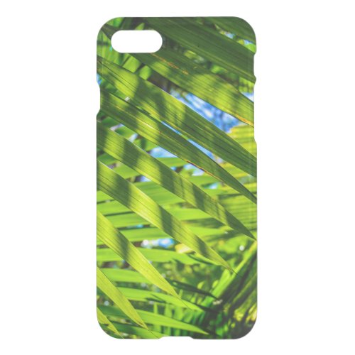 Palm Fronds Grove Farm Kauai Hawaii iPhone SE87 Case