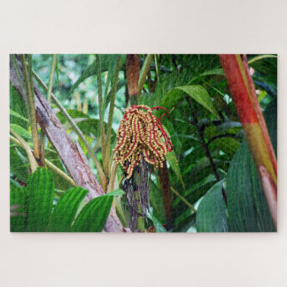 Palm Fruit in Hawaii Jigsaw Puzzle